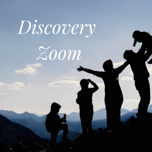 Discovery Zoom